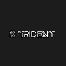 Best IT Support Company in Uganda – Why Businesses Choose K Trident